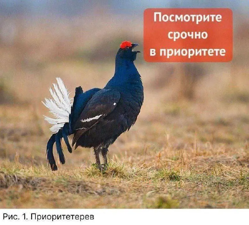 #IT
😂 ПМ 💬 MAX 🛍 Другие каналы
В этом посте были ссылки, но мы их удалили по правилам Сетки | Сетка — социальная сеть от hh.ru