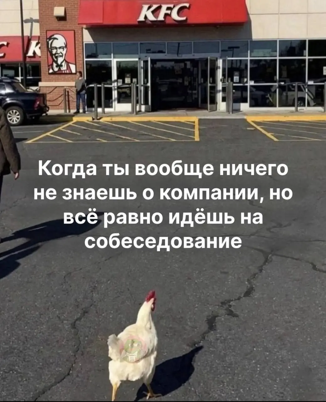 #Datanomics #ПятничныйЮмор | Сетка — социальная сеть от hh.ru