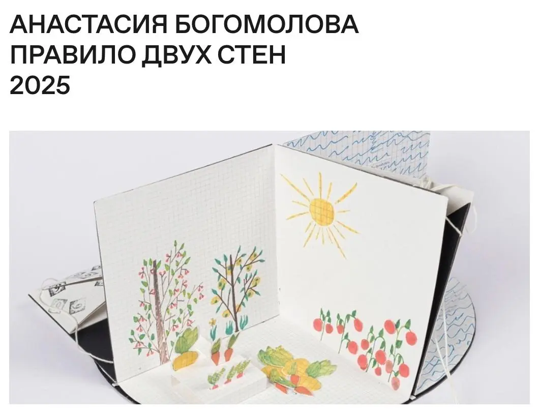 Анастасия Богомолова | Сетка — социальная сеть от hh.ru