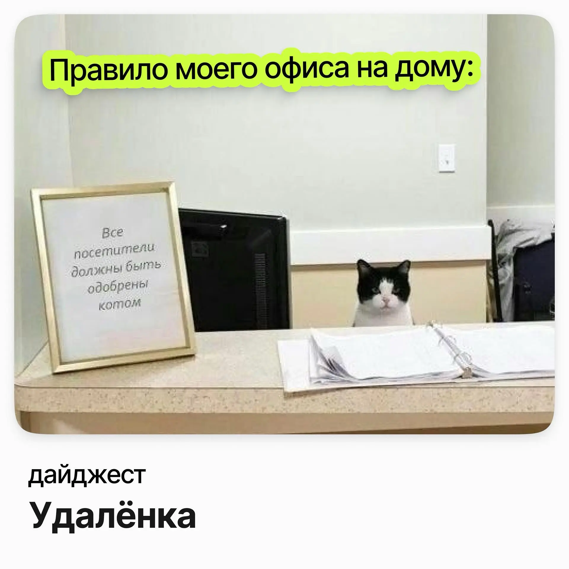 Удалённые вакансии | Сетка — социальная сеть от hh.ru
