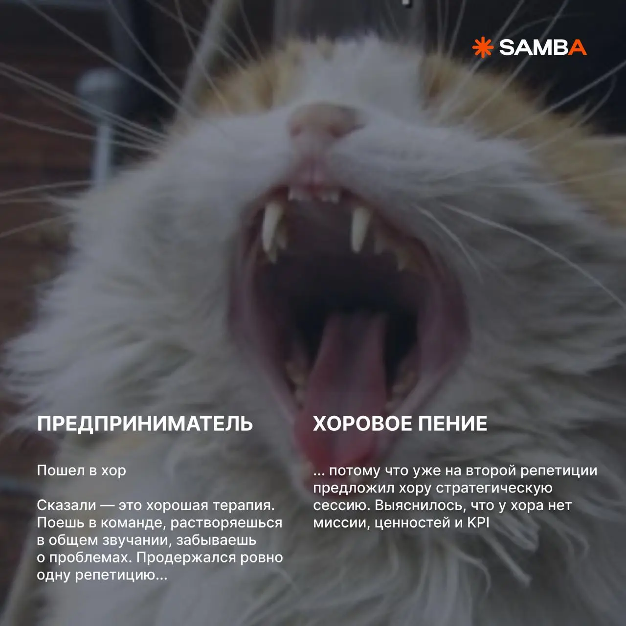 Чем занялись бы мы с вами после отключения интернета? 100% нашли бы занятие по душе, но маркетинговая жилка всегда оставалась бы с нами 😁
Немного пофантазировали в карточках! Ну а вам желаем просто от... | Сетка — социальная сеть от hh.ru