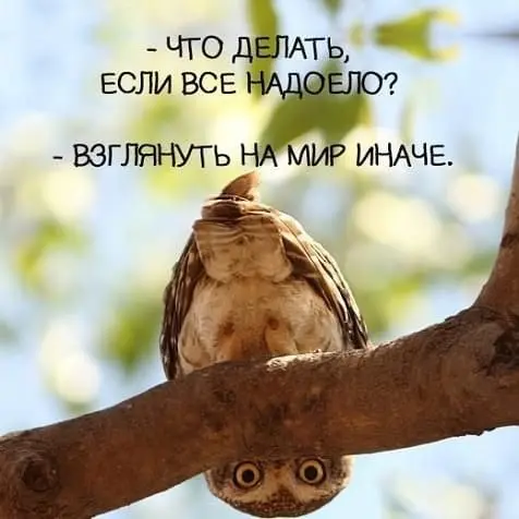 МАЙСКИЙ ИНТЕНСИВ 🌿
Я давно думала: как помочь тем, кто не готов к полной диагностике, но уже чувствует — пора разбираться.
Получилось — мини-интенсив.
3 дня. 3 теста. Мой голосовой разбор | Сетка — социальная сеть от hh.ru