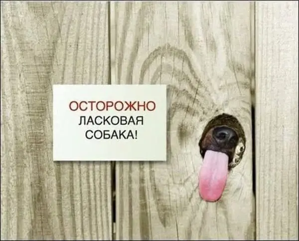 Это прям хорошо | Сетка — социальная сеть от hh.ru