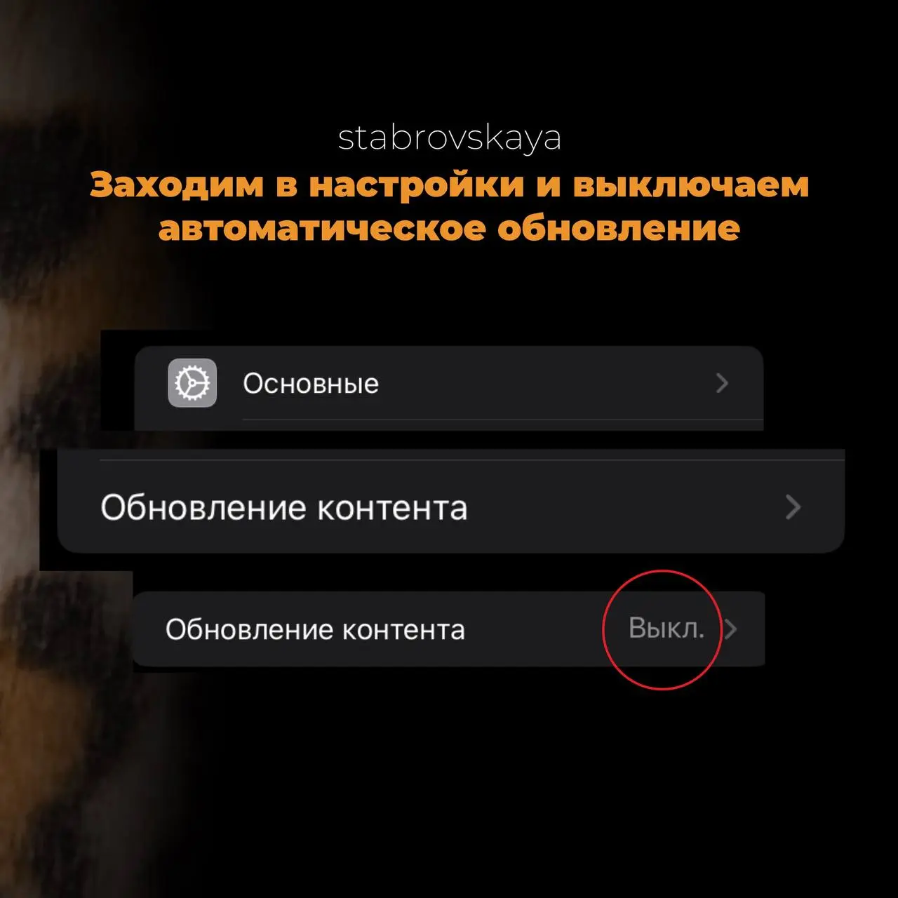 Расскажу секрет 🤫
А вы знали, что CapCut можно сделать бесплатным?
Для этого вам надо:
1.Зайти в настройки и отключить CapCut от автоматического обновления.
2 | Сетка — социальная сеть от hh.ru
