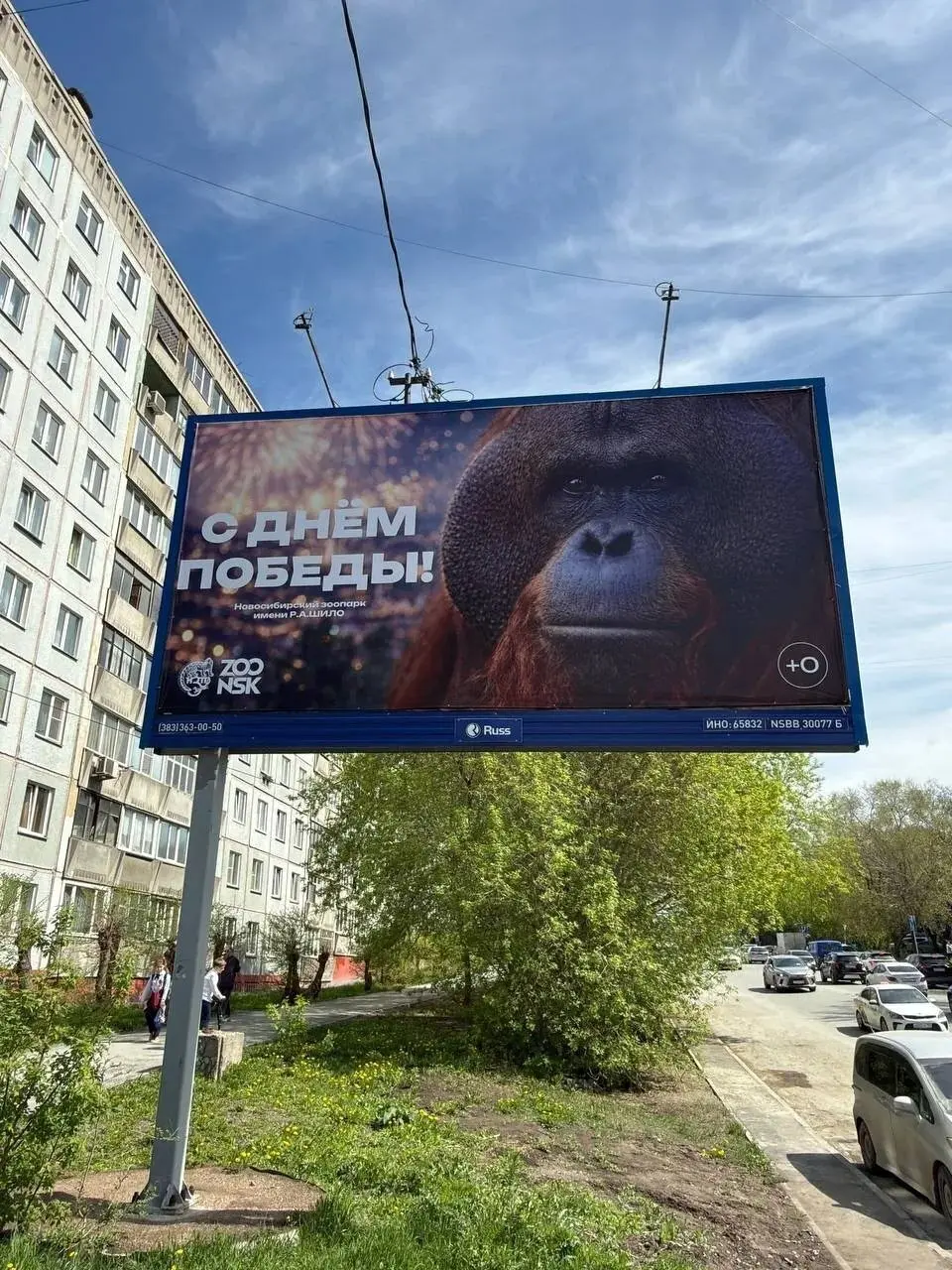 Новосибирский зоопарк попал в скандал из-за поздравления к 9 Мая
Зоопарк имени Р. А. Шило в Новосибирске выпустил уличное поздравление ко Дню Победы | Сетка — социальная сеть от hh.ru