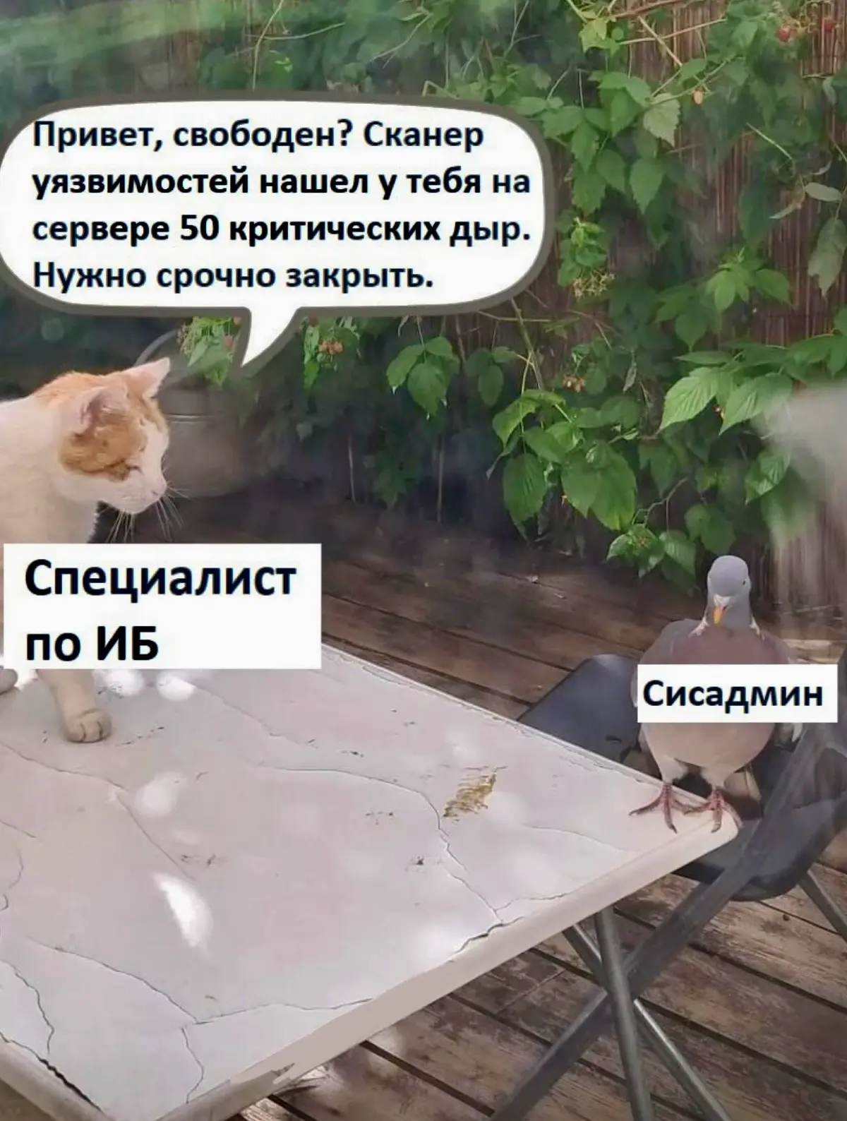О, базовая задача в пятницу вечером 🥲 | Сетка — социальная сеть от hh.ru