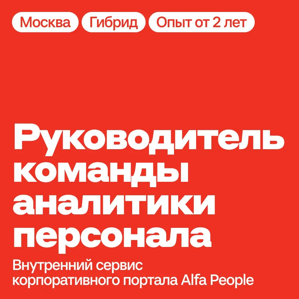 Ищем сильного аналитика 📊 | Сетка — социальная сеть от hh.ru