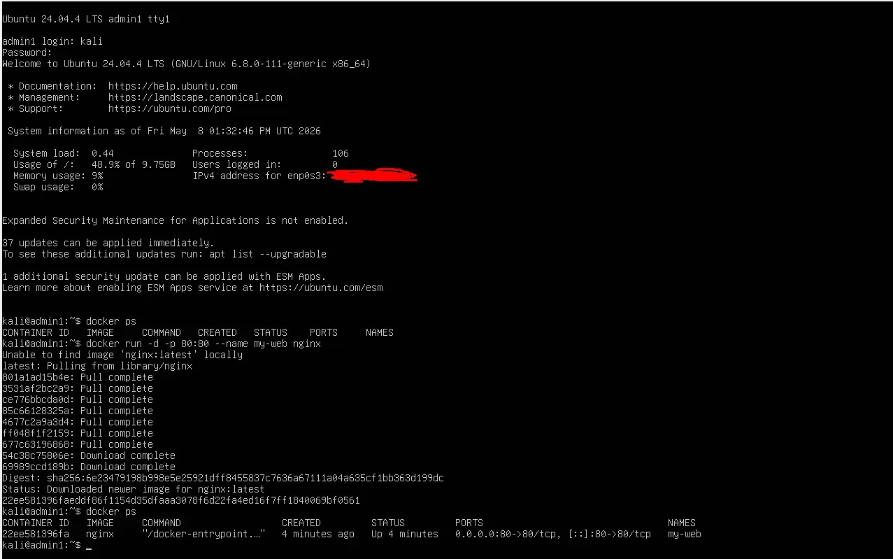 Приручаем кита: установка Docker и запуск первого сервиса 🐳 | Сетка — социальная сеть от hh.ru