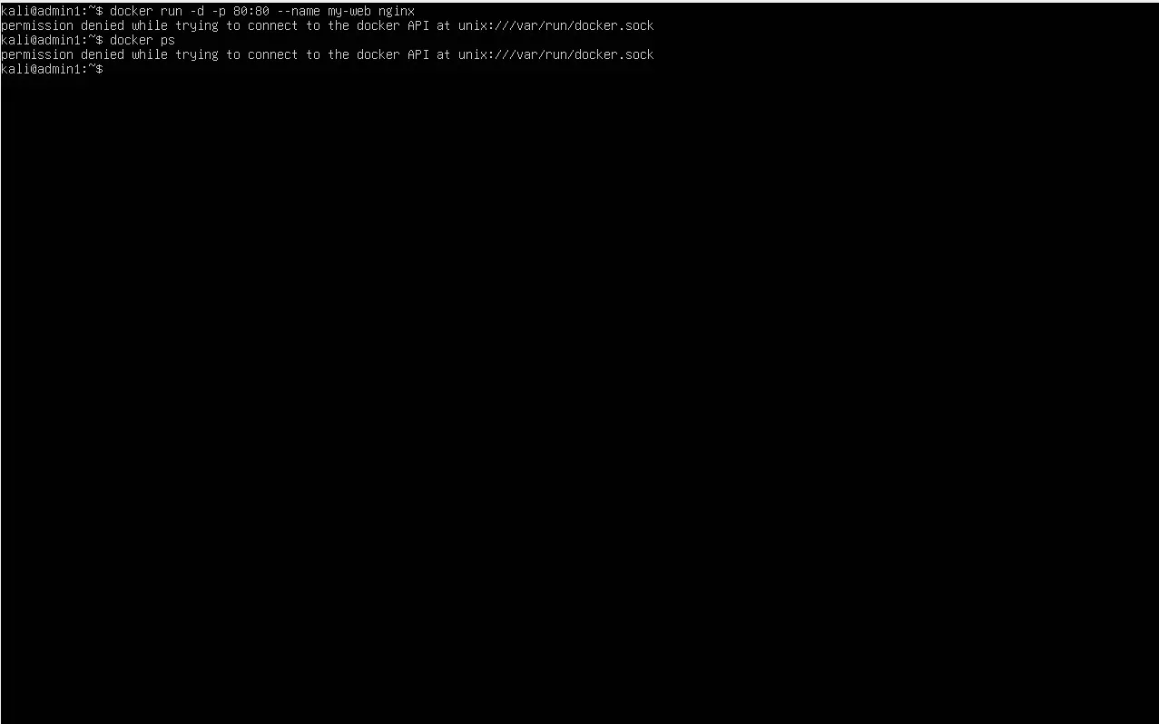 Приручаем кита: установка Docker и запуск первого сервиса 🐳 | Сетка — социальная сеть от hh.ru