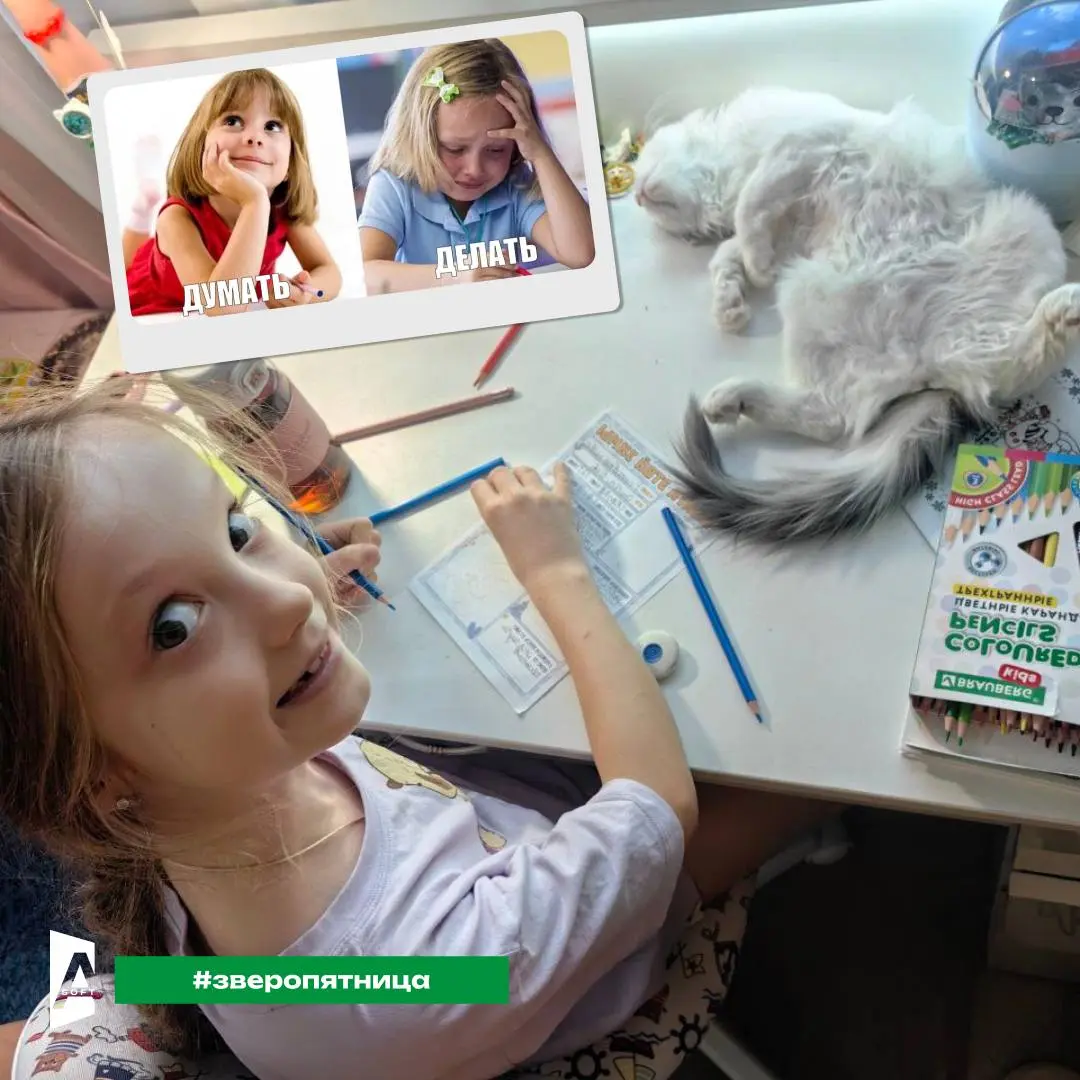 #Зверопятница на связи
Давно не было в эфире наших любимых хвостатых, правда? 🐷
Теплых вам выходных, команда A-Soft! ☀️ | Сетка — социальная сеть от hh.ru