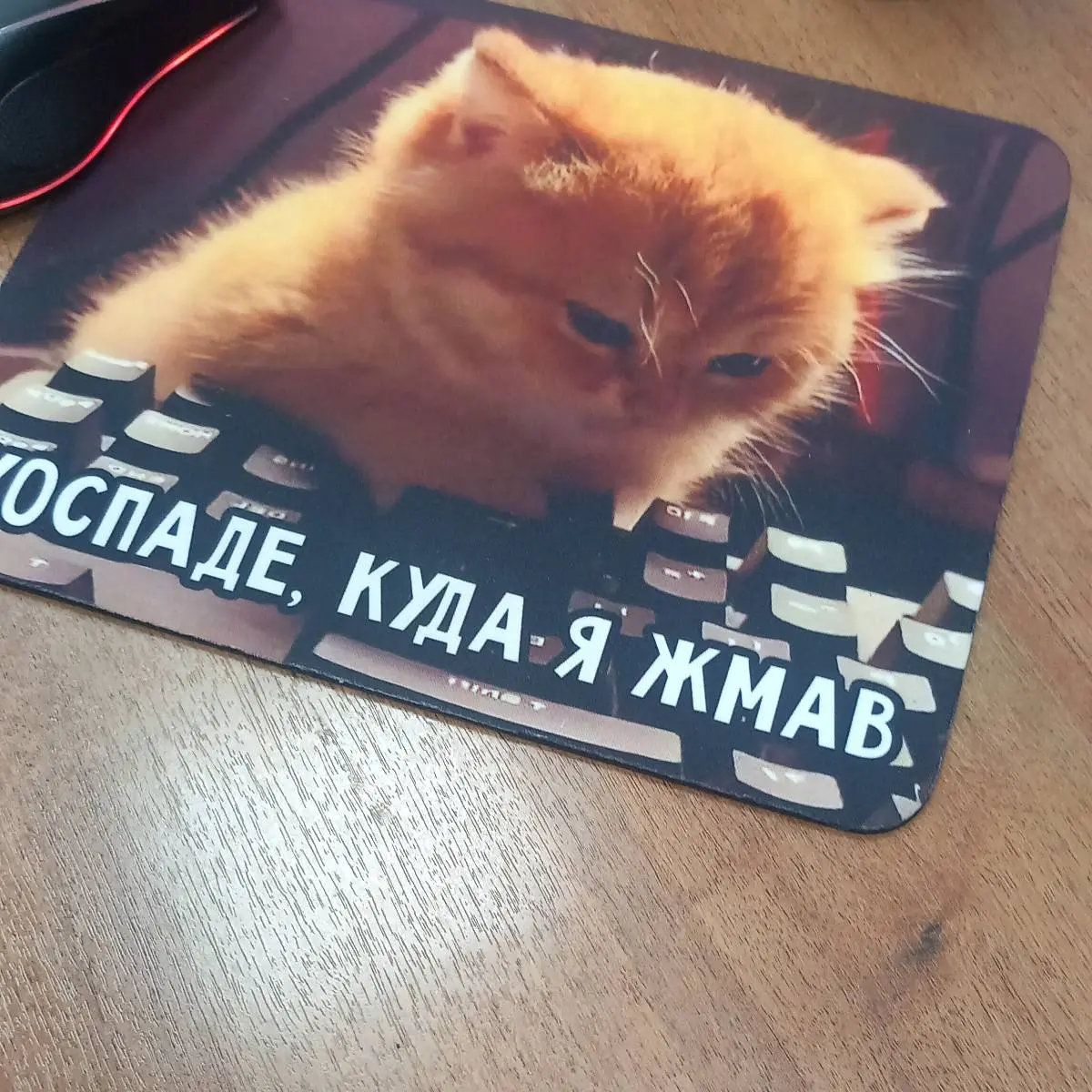Евгения Зверева