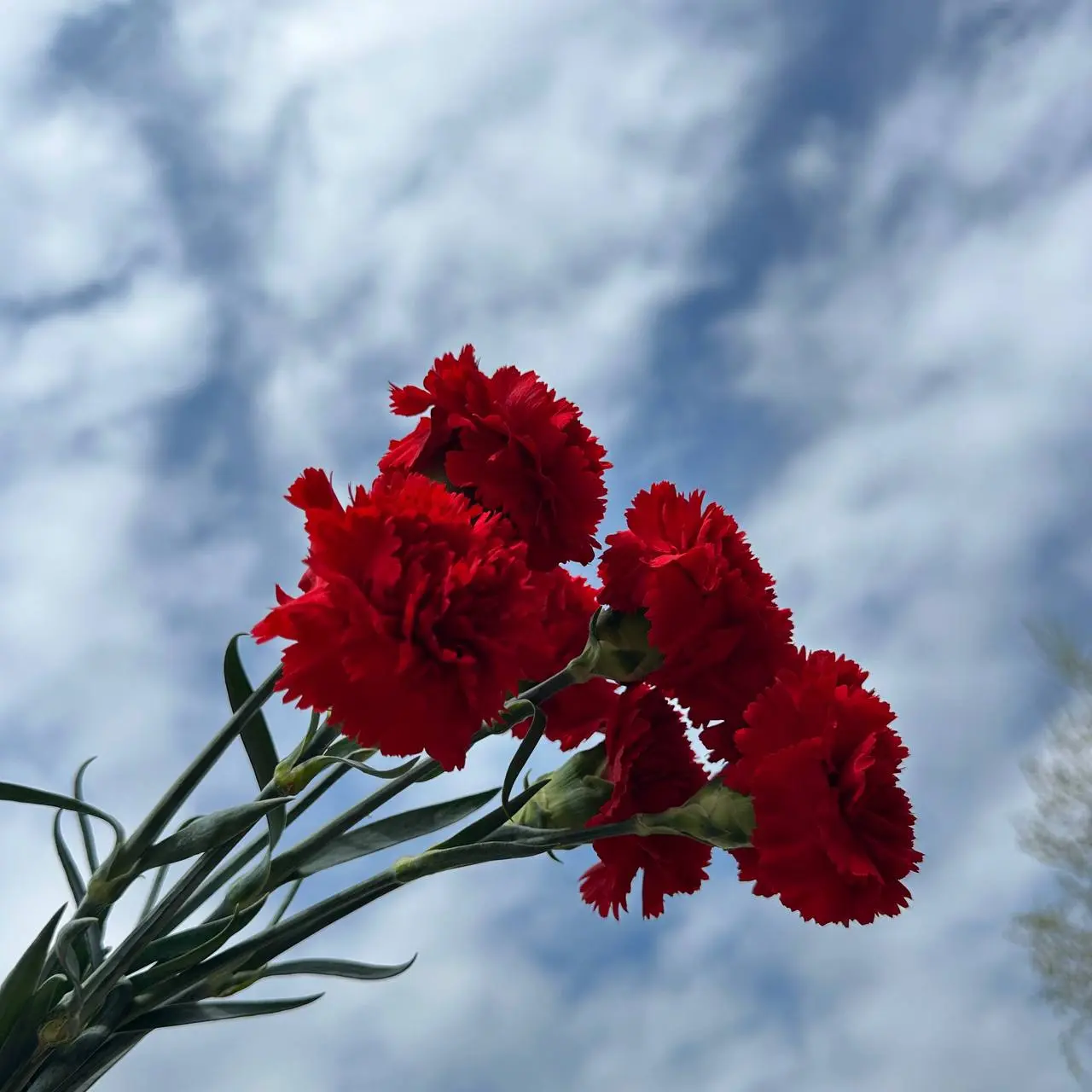 Сегодня 9 мая.
Для меня - это про память.
Про тишину, фотографии и истории, которые нельзя забывать.
Когда-то мы шли в Бессмертном полку всей семьёй | Сетка — социальная сеть от hh.ru