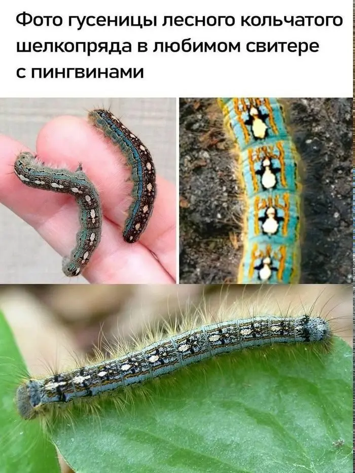 100% защиты от скуки. Активируй подписку ✅ | Сетка — социальная сеть от hh.ru