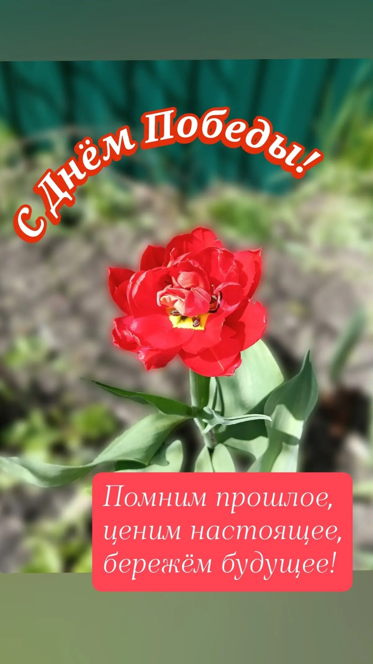 С Днём Победы! | Сетка — социальная сеть от hh.ru