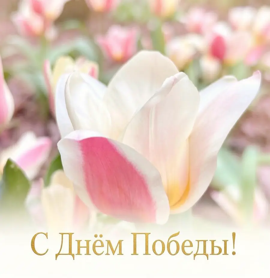 ✨🌟✨9 Мая — не просто дата в календаре.
Для меня это напоминание: наша жизнь, наша свобода, наше счастье — оплачены невероятной ценой | Сетка — социальная сеть от hh.ru