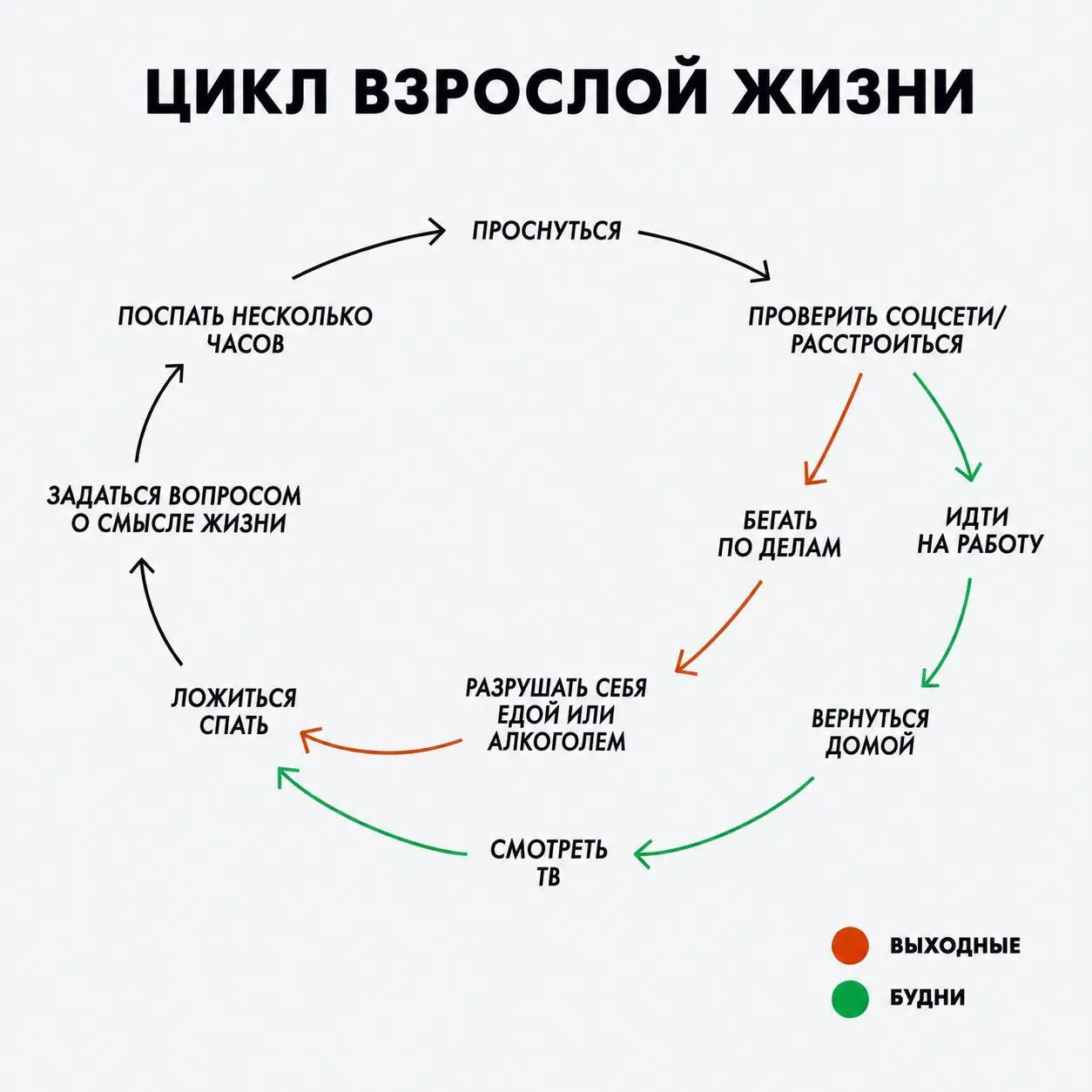 Пожалуй, лучшее описание взрослой жизни без использования слов «ипотека» и «тревожность». | Сетка — социальная сеть от hh.ru