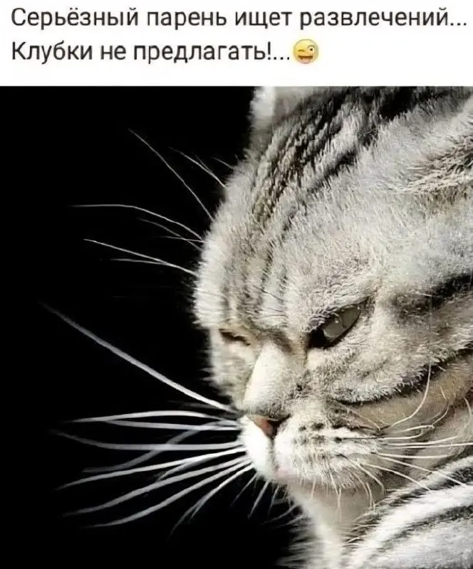 Прошлый век 😂
#Юмор@poldner #Коты@poldner | Сетка — социальная сеть от hh.ru