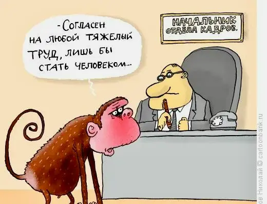 Жалоба: меня уже тошнит резюме править под вакансии. | Сетка — социальная сеть от hh.ru