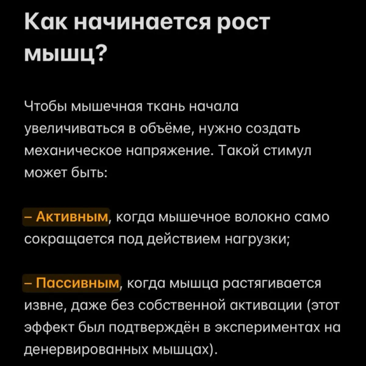 🦾☀️ | Сетка — социальная сеть от hh.ru
