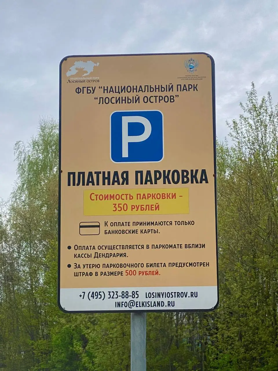 Информация по парковке на шашлыки, друзья! 💸🚘 | Сетка — социальная сеть от hh.ru