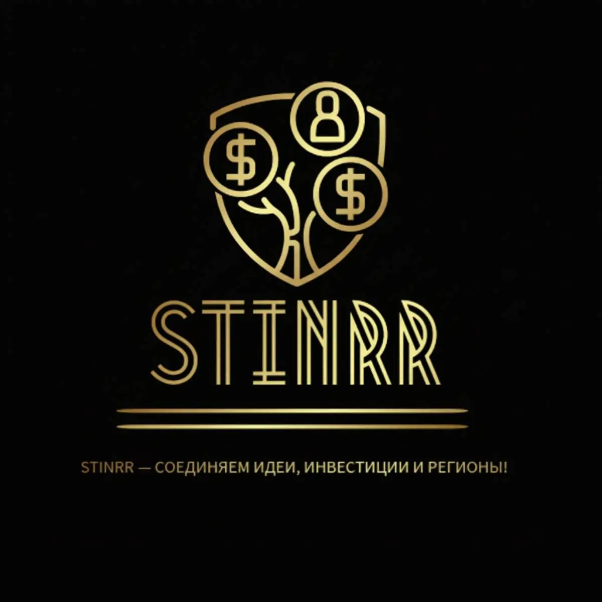 STINRR - экосистема для стартапов