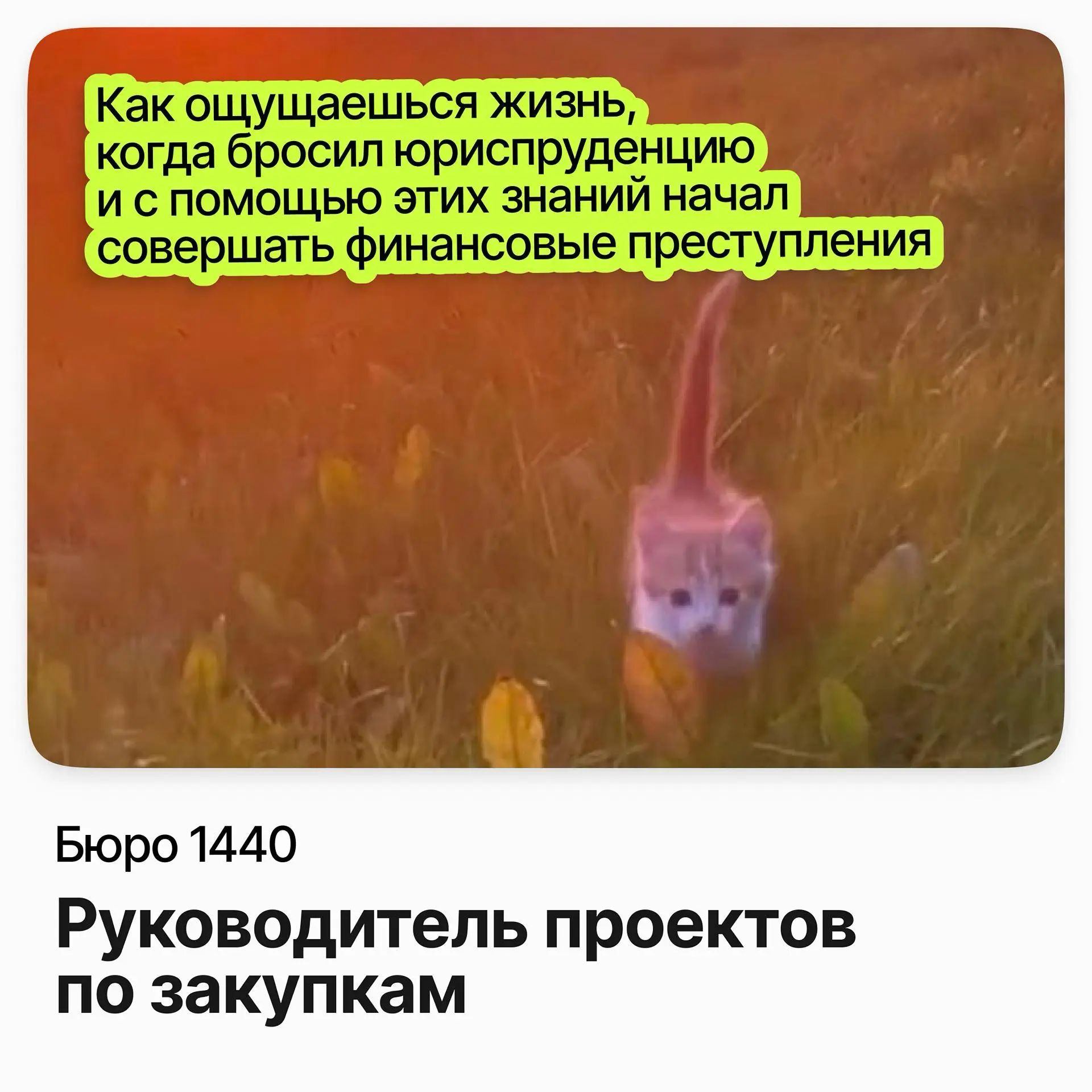 Руководитель проектов по закупкам / Бюро 1440 | Сетка — социальная сеть от hh.ru