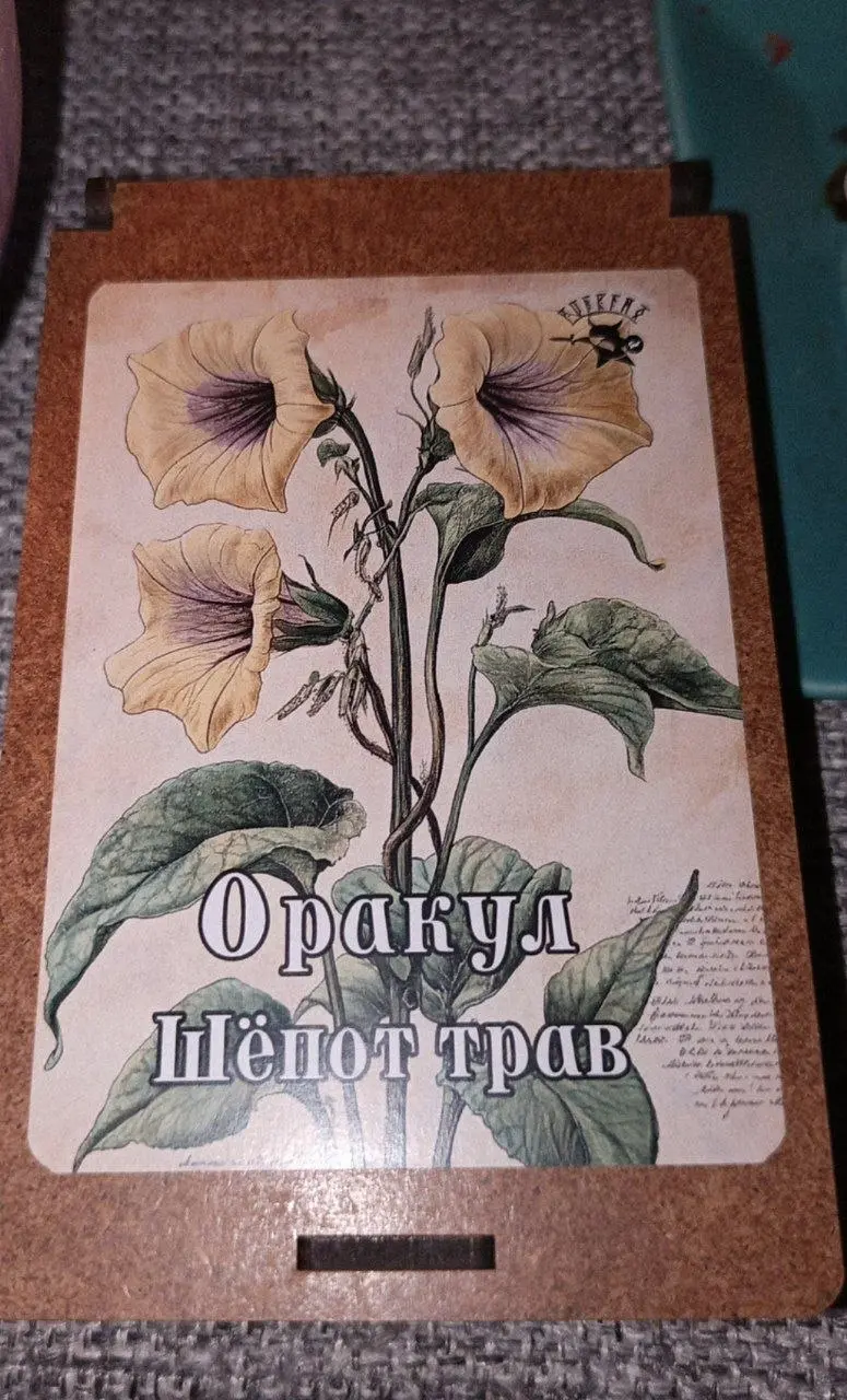 Достану карту совет или подсказку из оракула "Шёпот трав"
Почему именно трав?
Начался сезон сбора и заготовки трав для разных целей | Сетка — социальная сеть от hh.ru