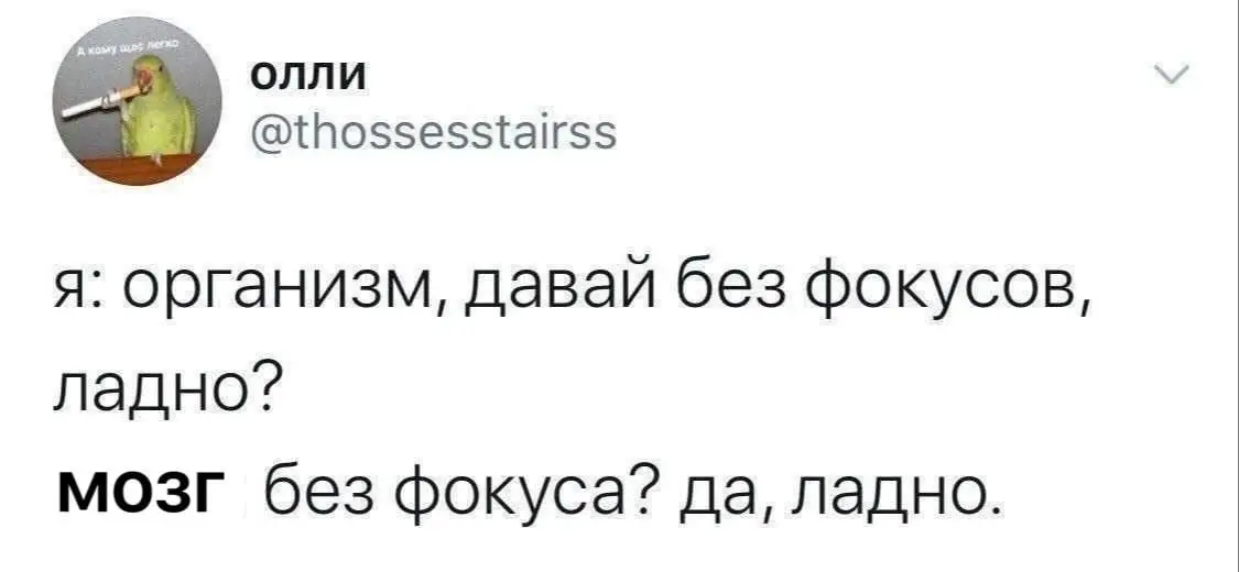 #life | Сетка — социальная сеть от hh.ru