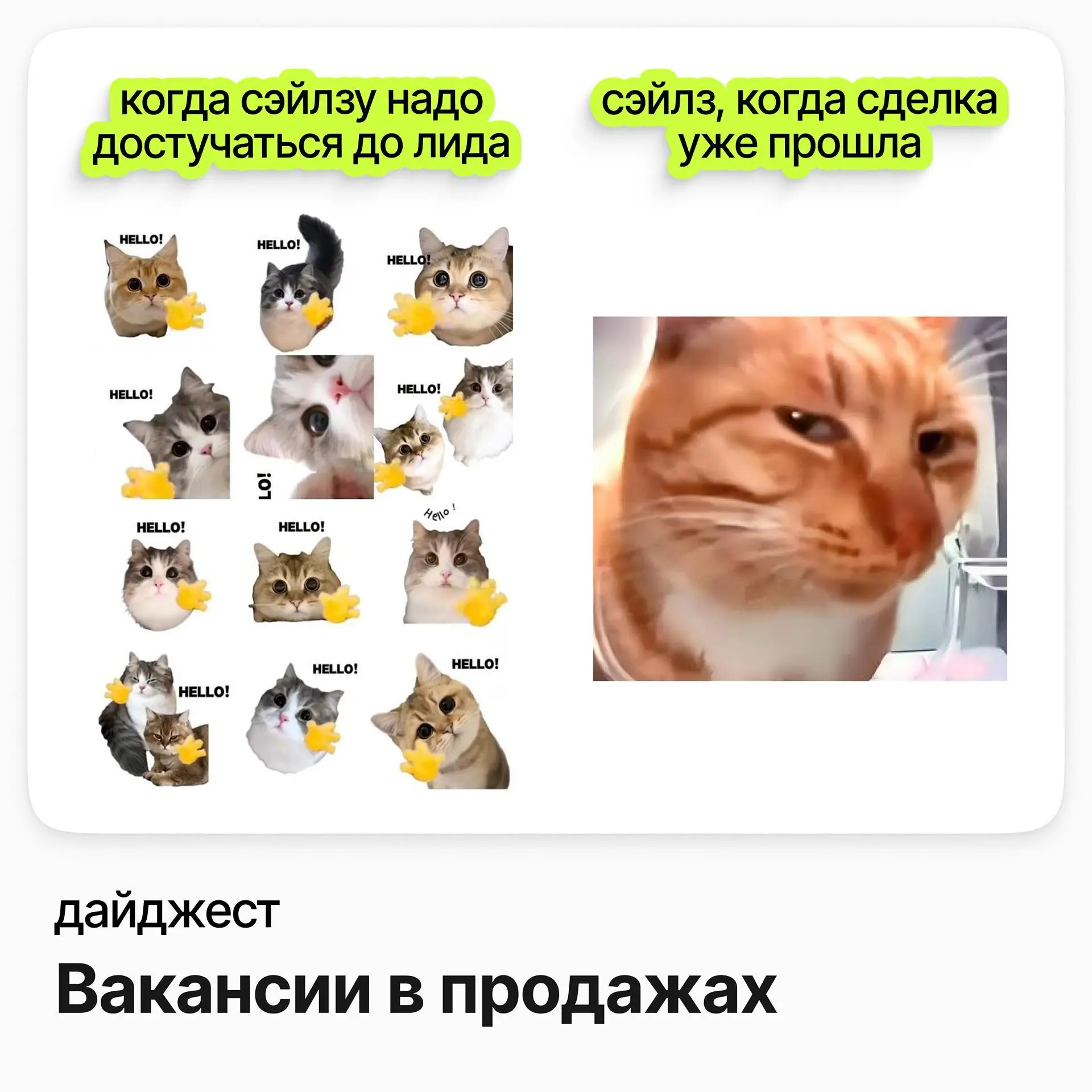 Вакансии в продажах | Сетка — социальная сеть от hh.ru