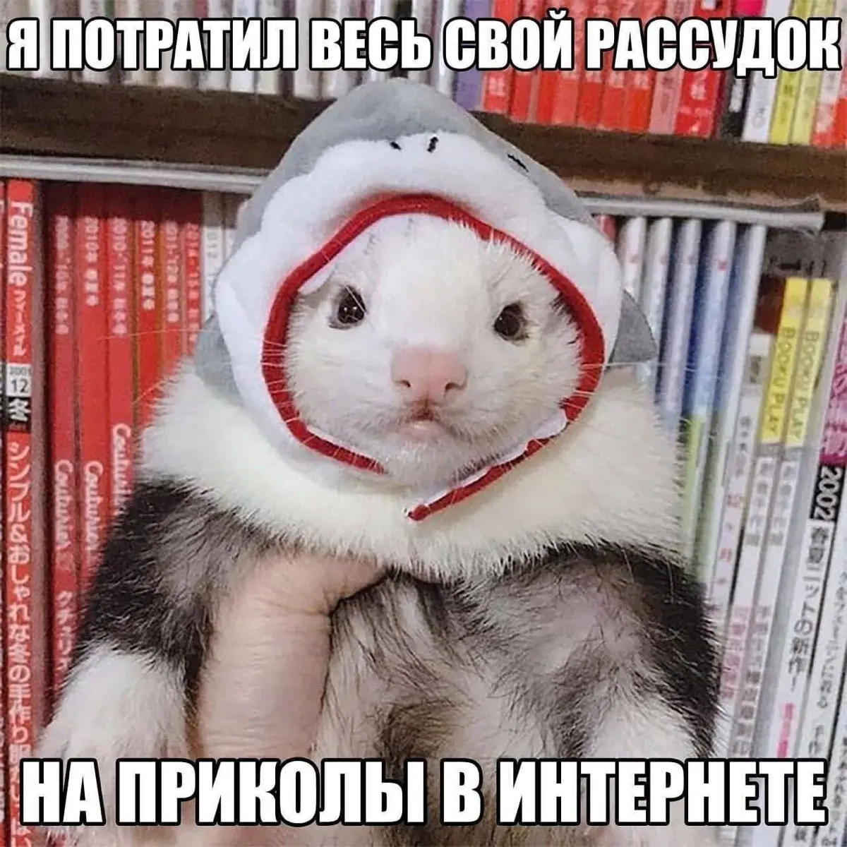 Динамический интерфейс с помощью AI ч.1 | Сетка — социальная сеть от hh.ru