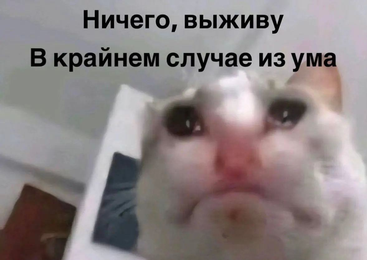 Почему ты доходишь до финала и не получаешь оффер
Самый обидный сценарий:
3–5 этапов → «вы классный, но выбрали другого» | Сетка — социальная сеть от hh.ru