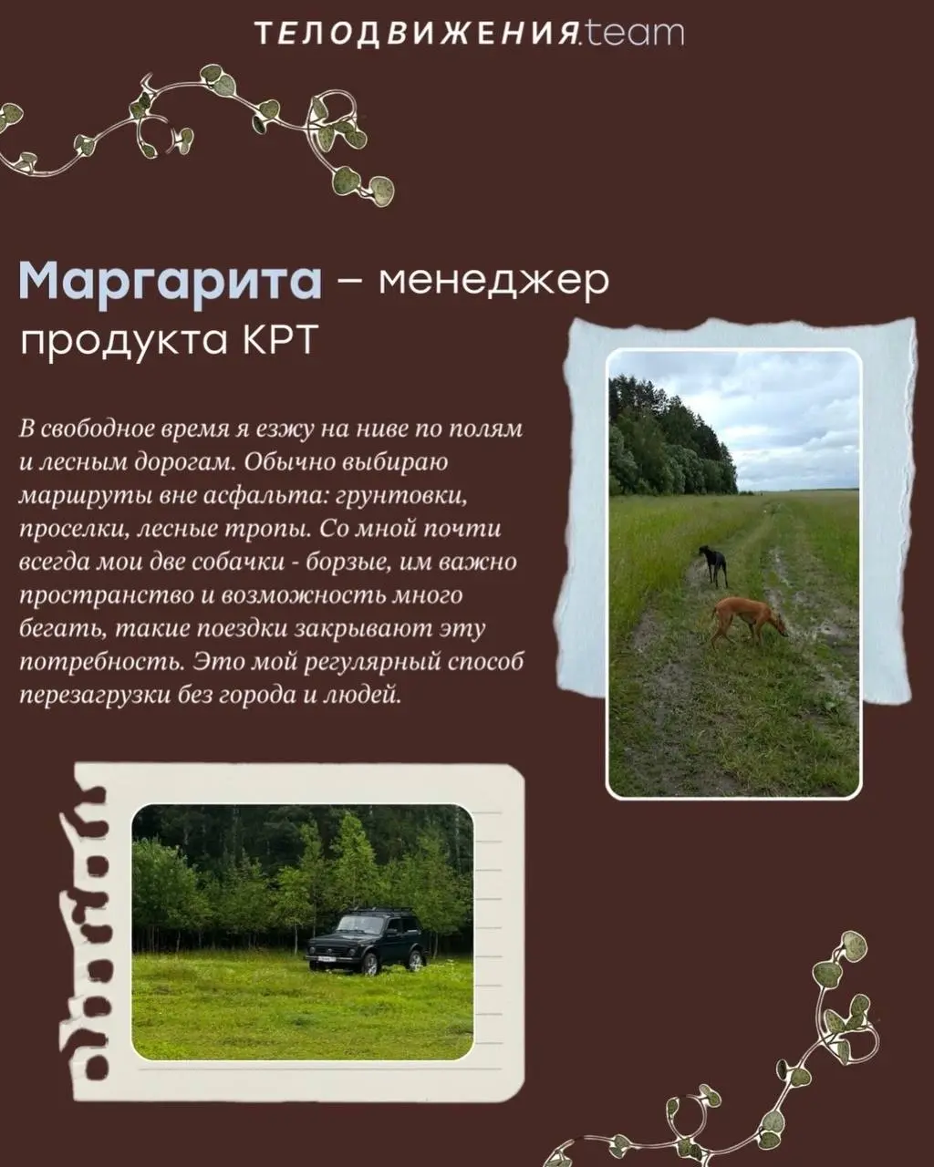 Решили узнать, чем в свободное время занимается команда Телодвижения. Делимся😉
Расскажите в комментариях, как вы проводите свое свободное время?👇🏻 | Сетка — социальная сеть от hh.ru