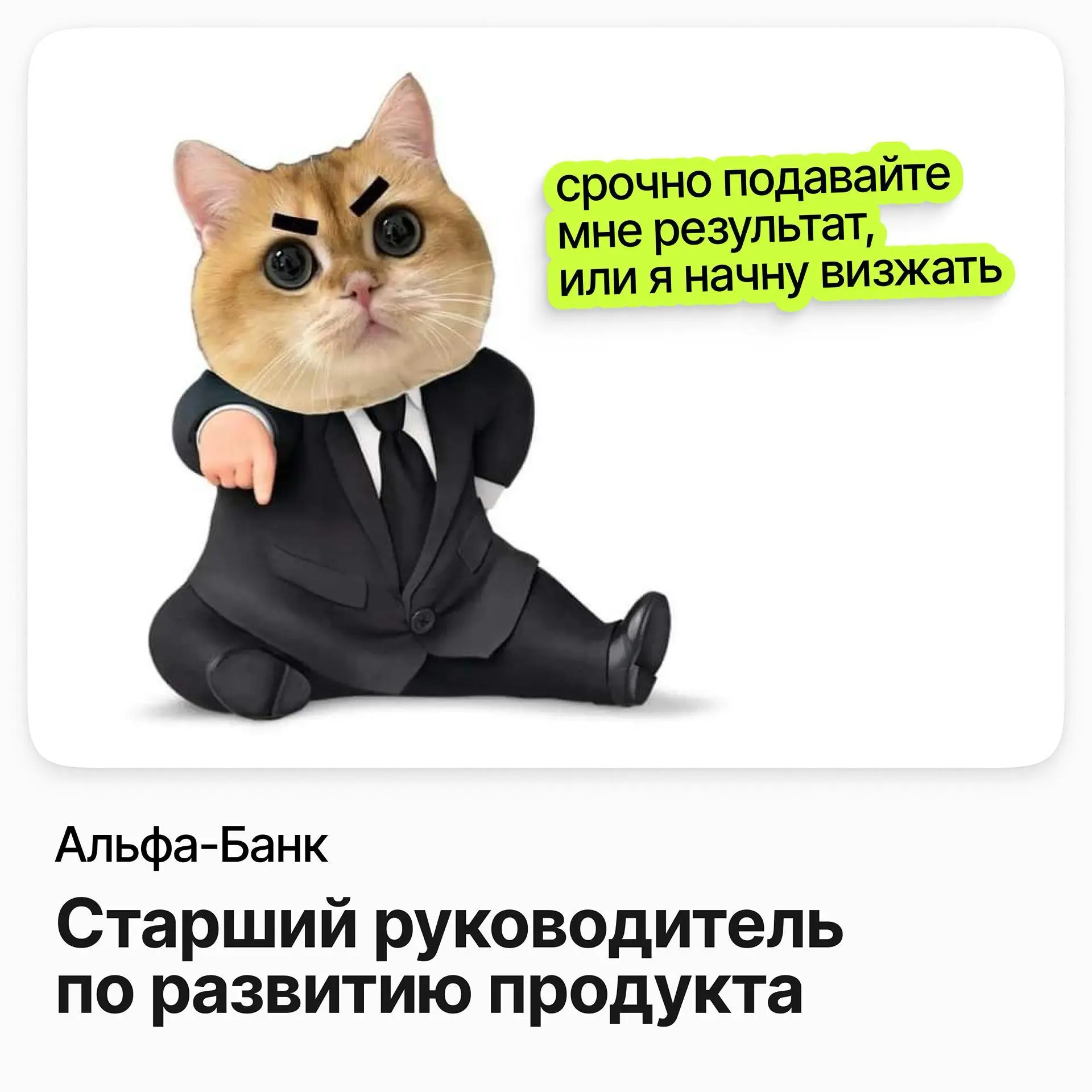 Старший руководитель по развитию продукта / Альфа-Банк | Сетка — социальная сеть от hh.ru