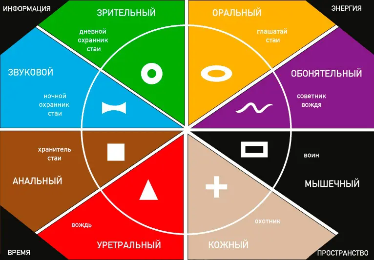 Системно-векторная психология: система или псевдонаука? | Сетка — социальная сеть от hh.ru