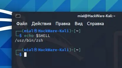 🐚 Оболочки: Командная строка, которая стала домом для гиков | Сетка — социальная сеть от hh.ru