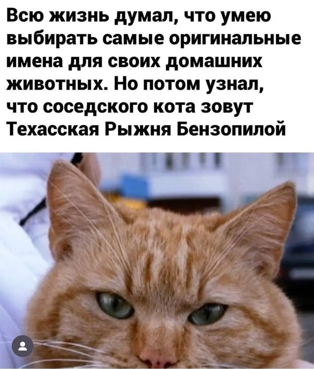 #cats | Сетка — социальная сеть от hh.ru