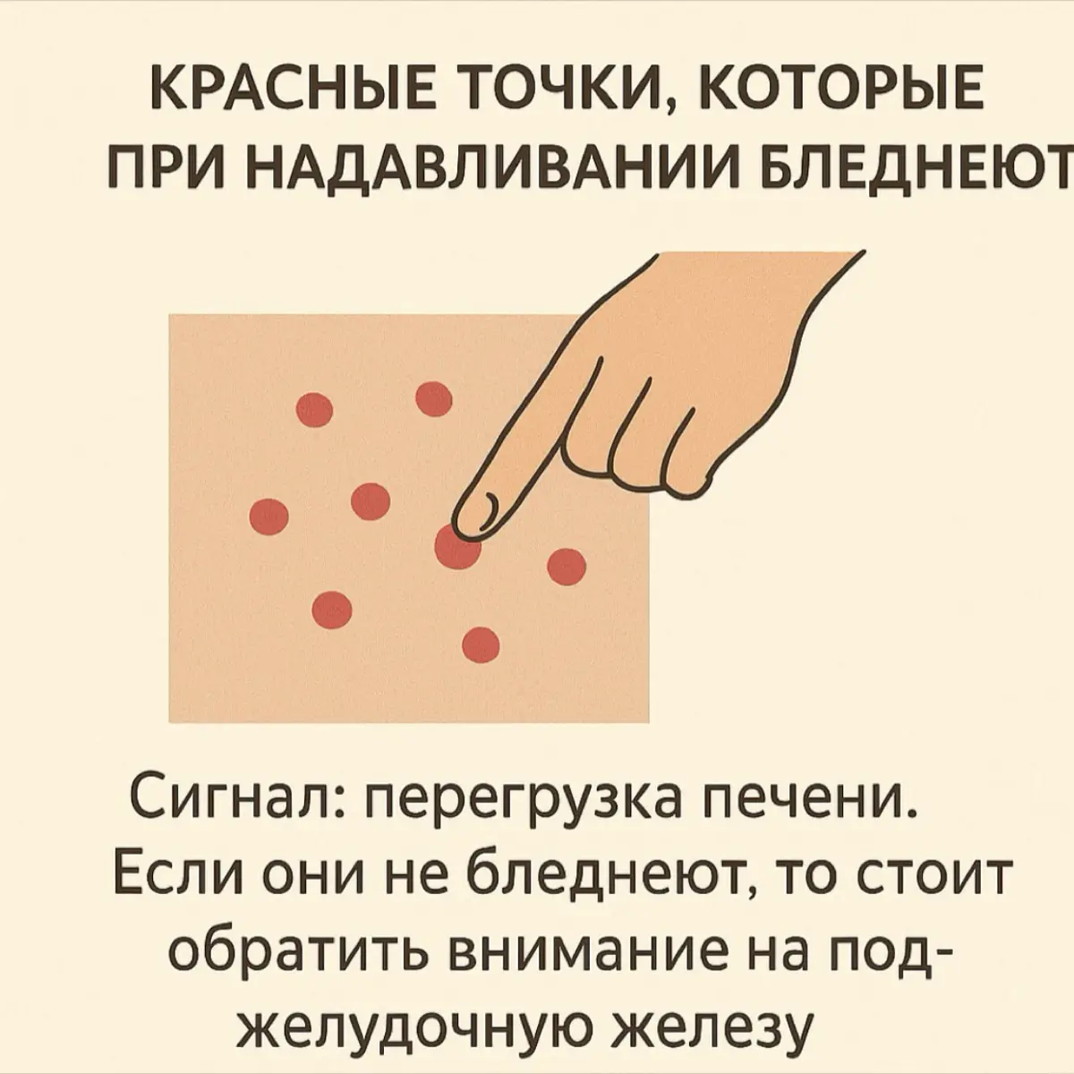 📚✊ | Сетка — социальная сеть от hh.ru
