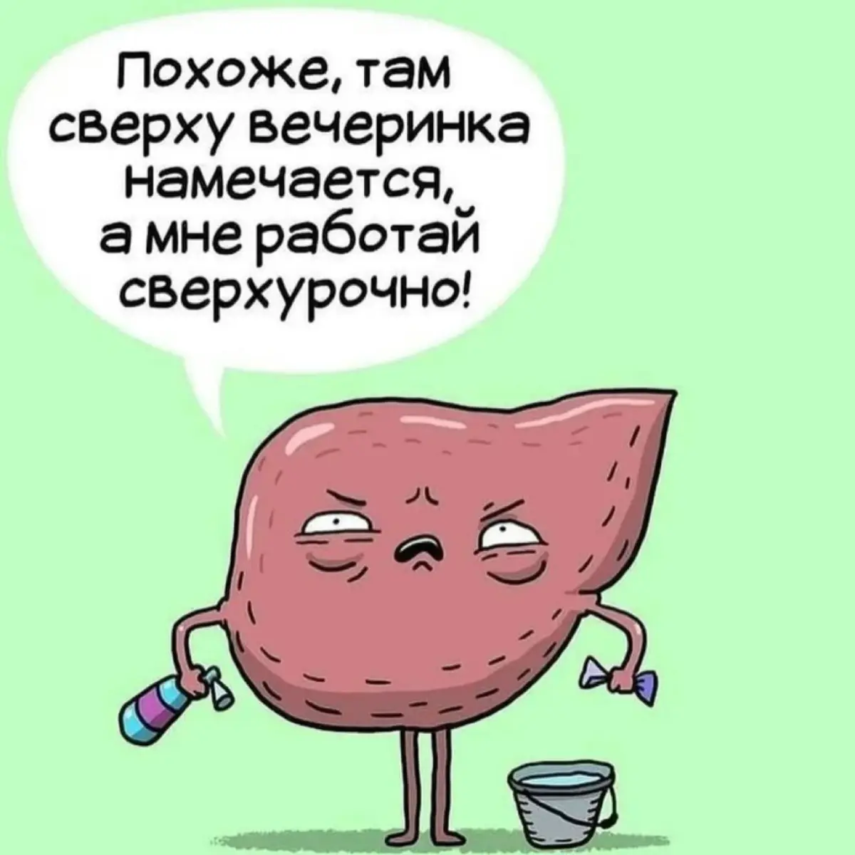 💭☑️ | Сетка — социальная сеть от hh.ru