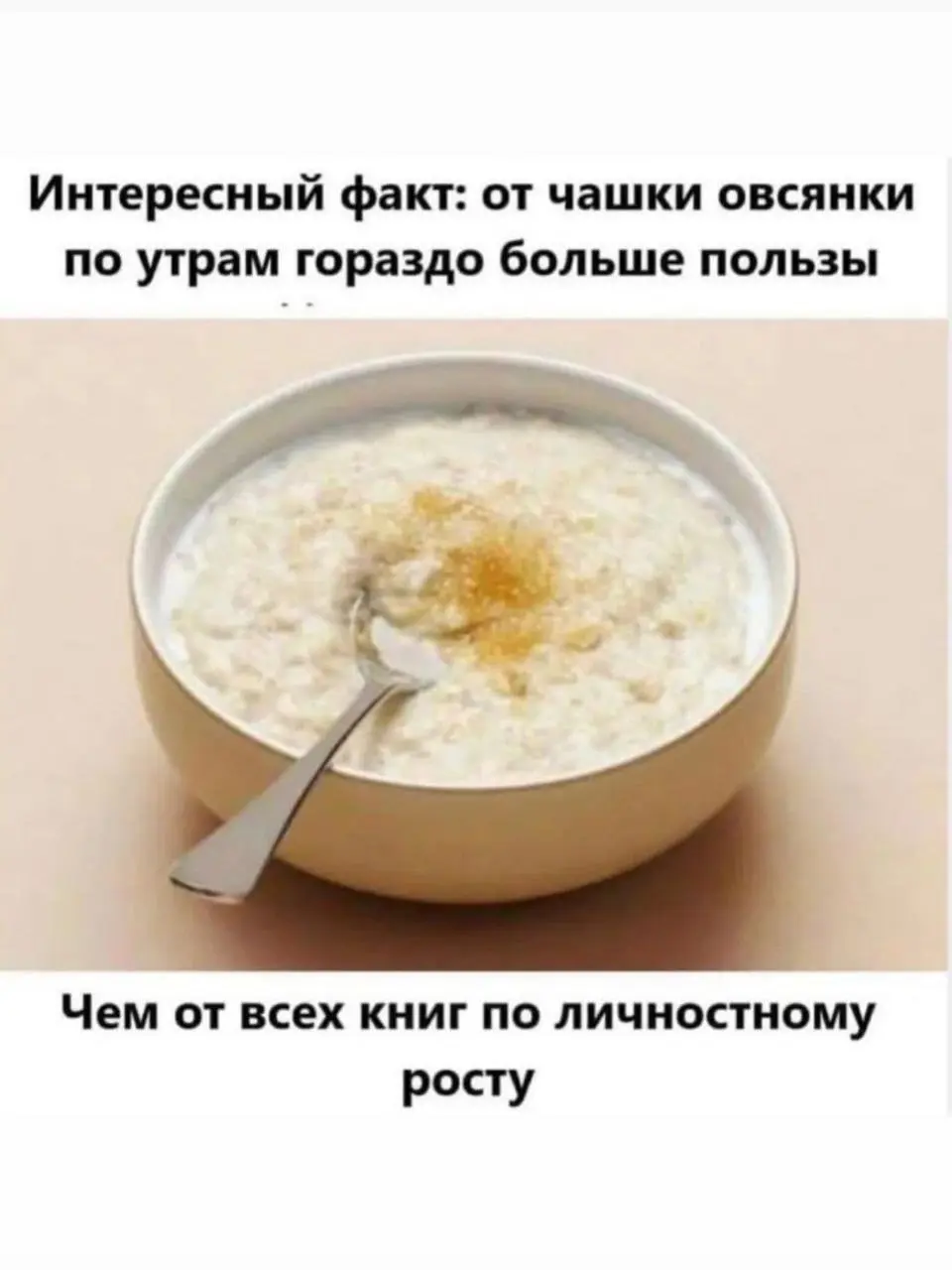 100% защиты от скуки. Активируй подписку 🤡 | Сетка — социальная сеть от hh.ru