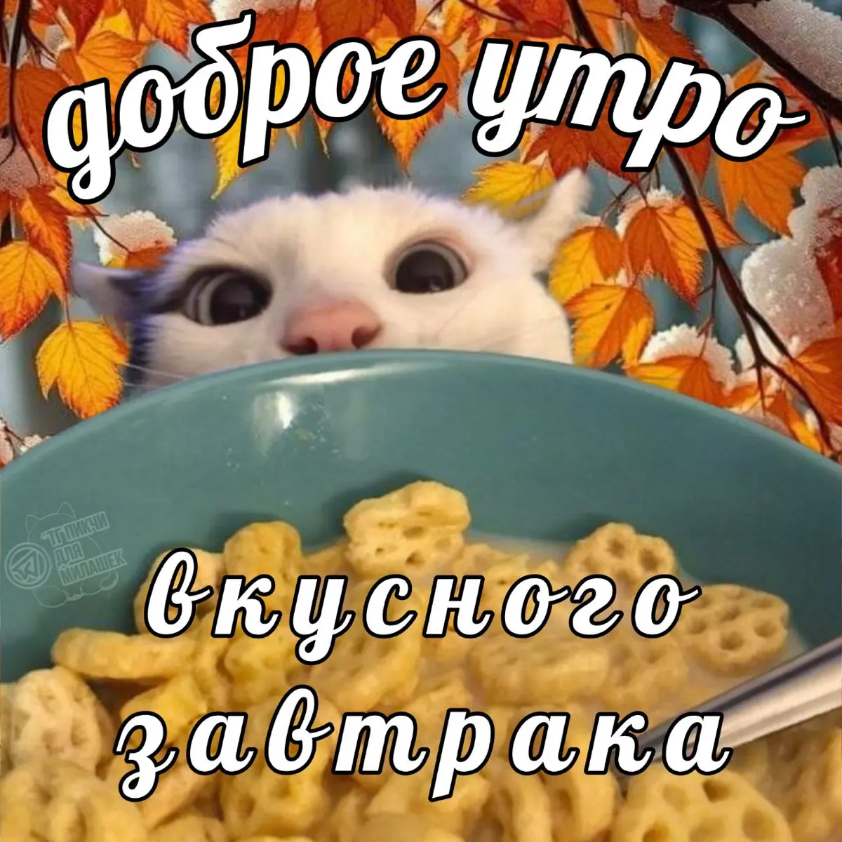 Первый день на новой работе | Сетка — социальная сеть от hh.ru