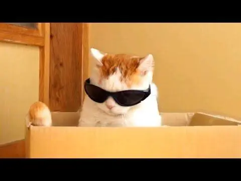 Почему «неудобные» сотрудники растут быстрее
Недавно услышала фразу:
«В корпорациях успеха добиваются только неудобные сотрудники».
И, честно, в этом есть неприятная правда | Сетка — социальная сеть от hh.ru