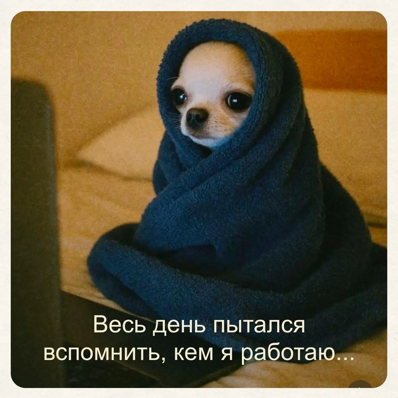 Как вернуться в работу после праздников? 😍
Если состояние с картинки знакомо вам слишком хорошо, то мы вас не осуждаем (мы и сами уже второй день такие же 😣) | Сетка — социальная сеть от hh.ru