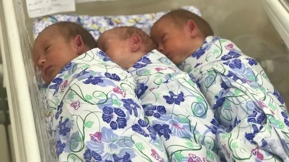 🤱В Ставрополе женщина родила сразу 3 детей
В краевом клиническом перинатальном центре № 1 появилась на свет первая в 2026 году тройня | Сетка — социальная сеть от hh.ru