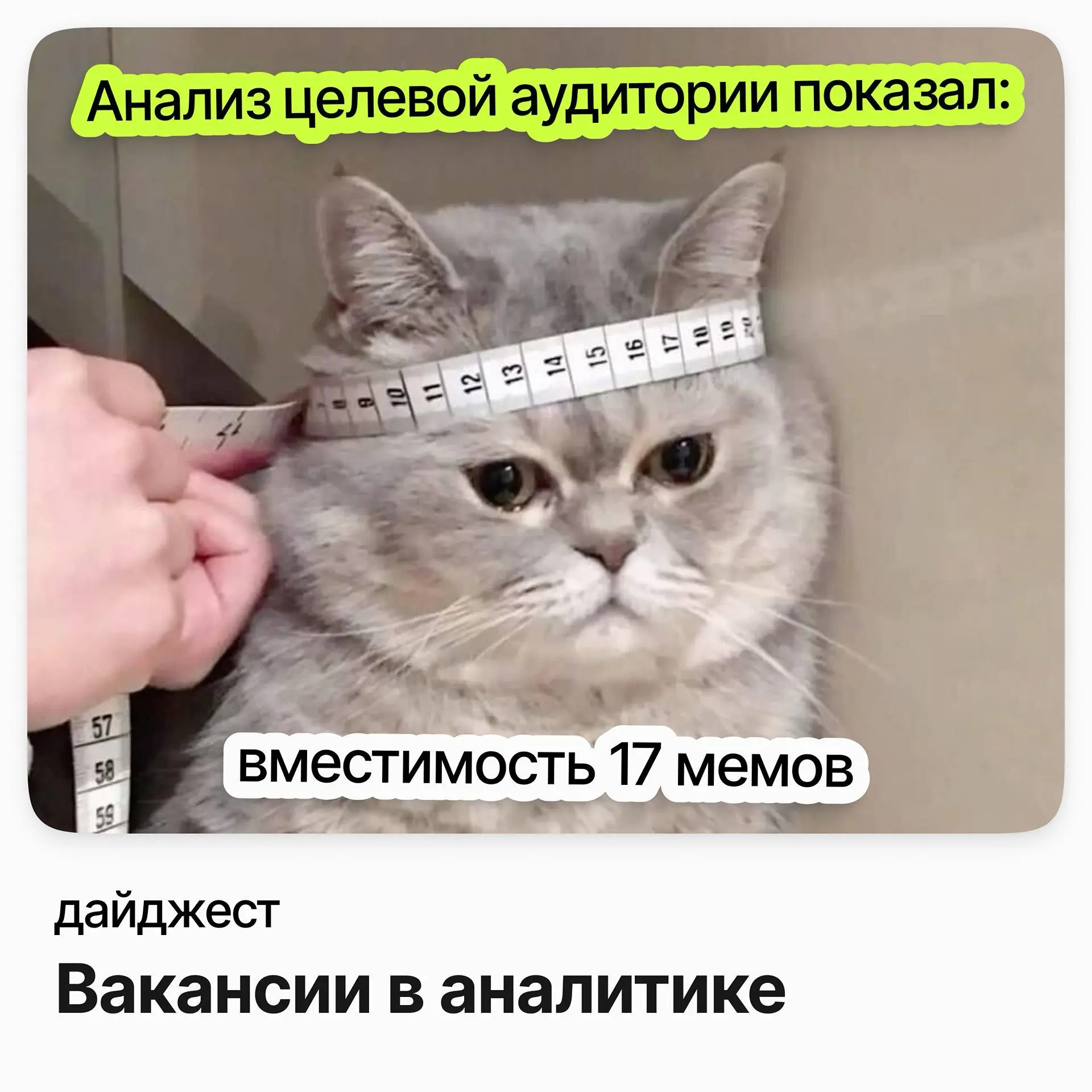 Вакансии в аналитике | Сетка — социальная сеть от hh.ru