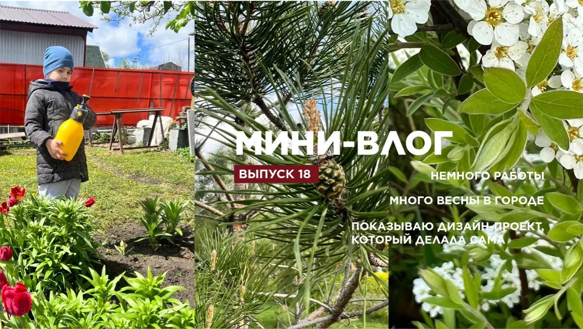 Новенький влог подъехал 👌🏻 | Сетка — социальная сеть от hh.ru