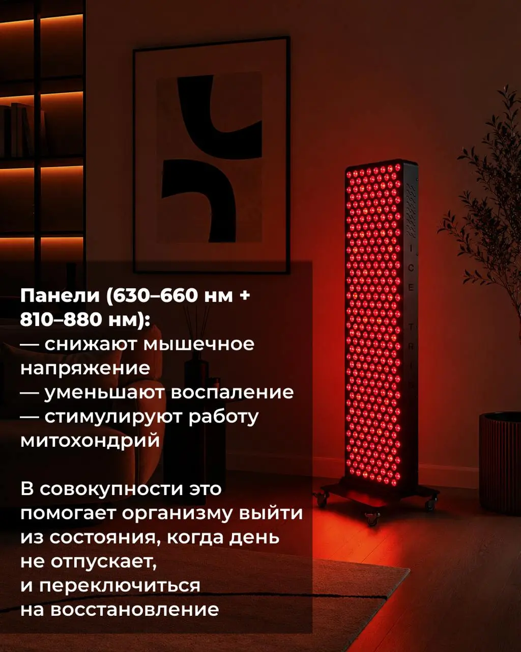 Красный и инфракрасный свет — это не инструмент, чтобы включить сон, но способ снять то, что мешает телу заснуть 💤
Вечером светить? Не бодрит? Такие вопросы возникают почти у каждого, кто берёт панель... | Сетка — социальная сеть от hh.ru