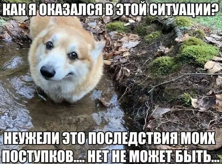 Давай я разберусь ✅
Звучит отлично! можно расслабиться ,выдохнуть и пойти посмотреть ,как кто-то более опытный и знающий разрулит ситуацию за тебя 🏅(ты мой пирожочек 👶)
Что ты получишь на выходе :
1 | Сетка — социальная сеть от hh.ru