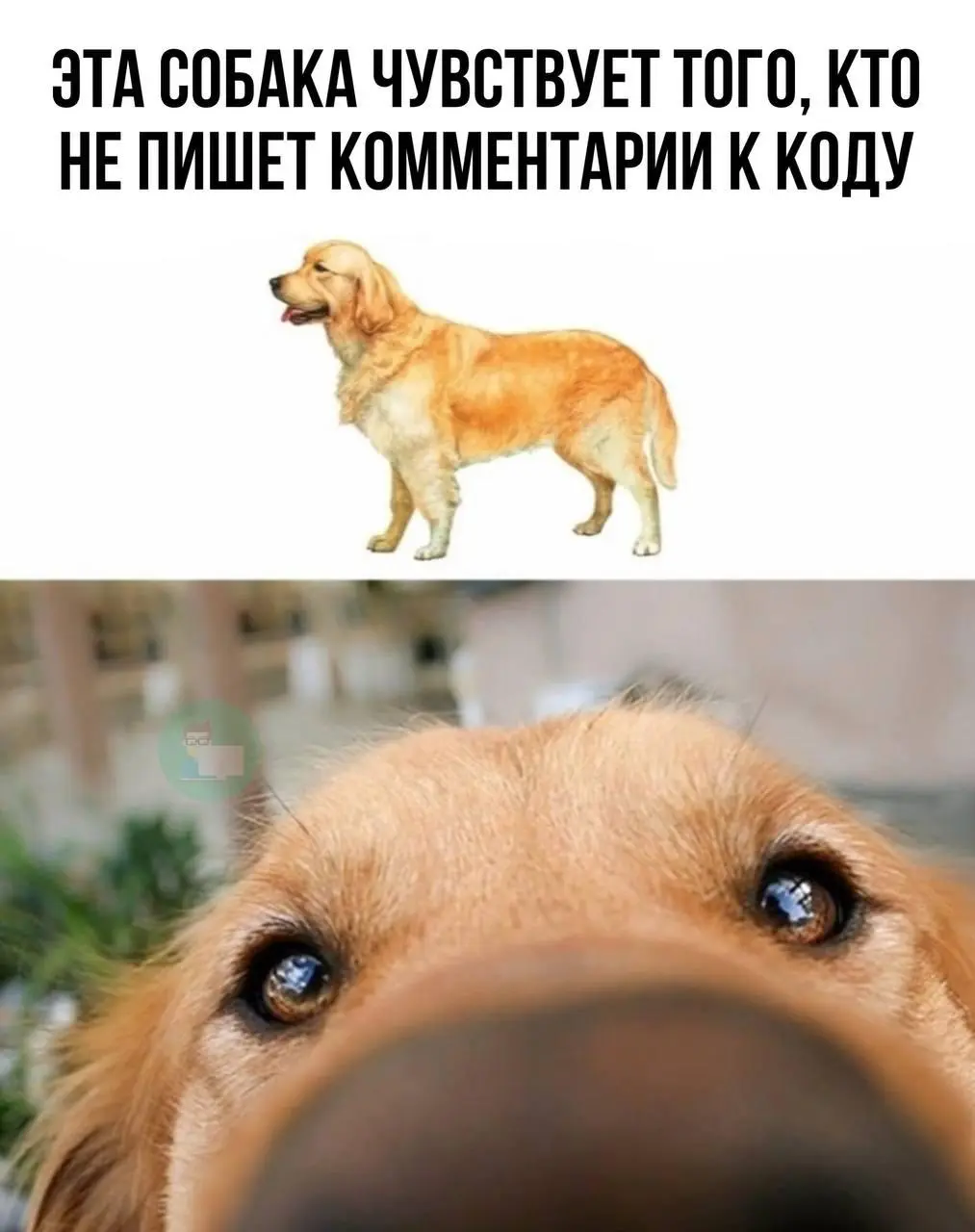 #IT
😂 ПМ 💬 MAX 🛍 Другие каналы
В этом посте были ссылки, но мы их удалили по правилам Сетки | Сетка — социальная сеть от hh.ru