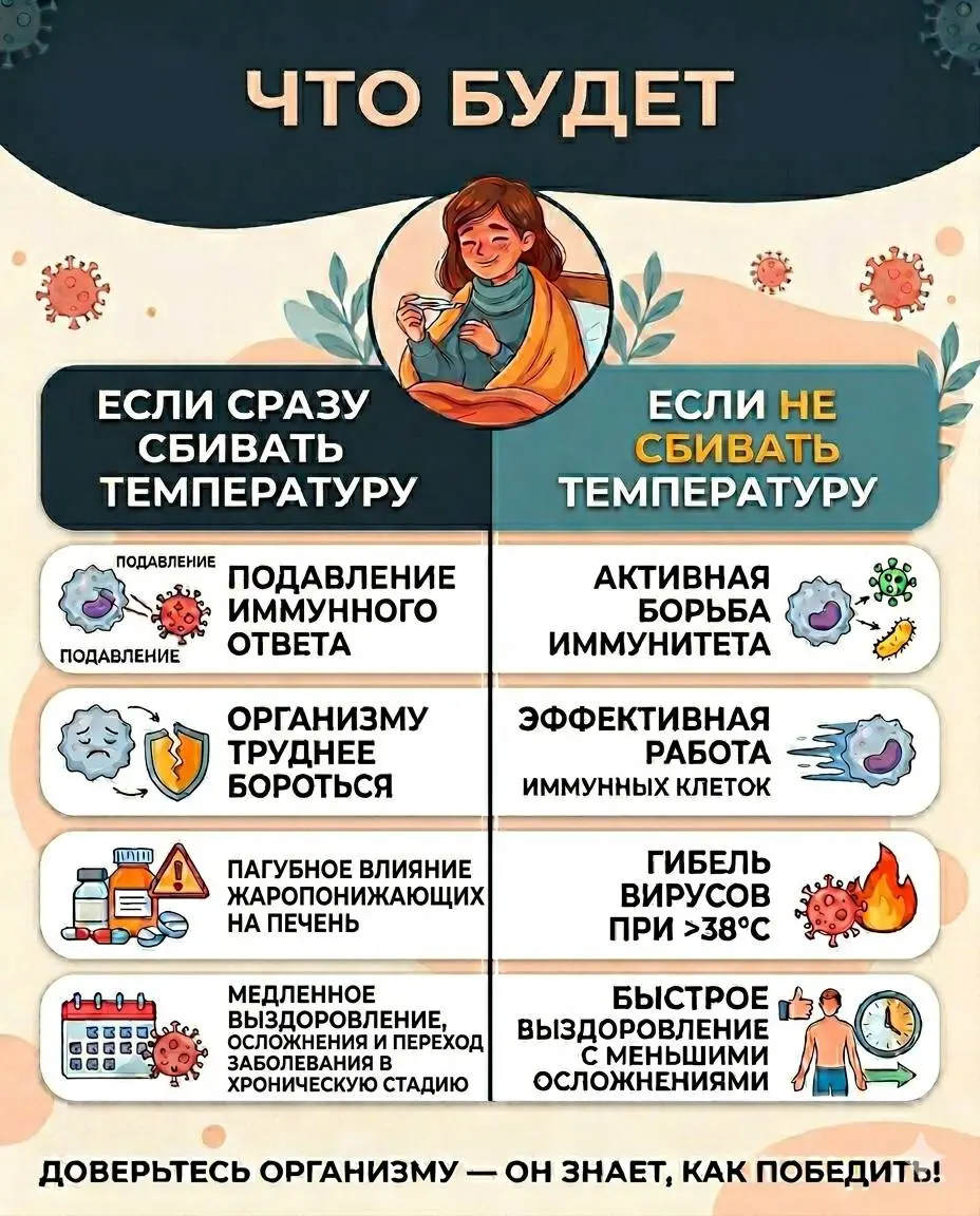 Природа создала в нашем организме идеальные механизмы исправления любых нарушений, возникающих в его работе, и температура — один из них | Сетка — социальная сеть от hh.ru