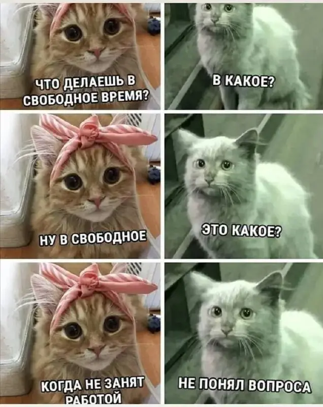 Мем дня:) | Сетка — социальная сеть от hh.ru